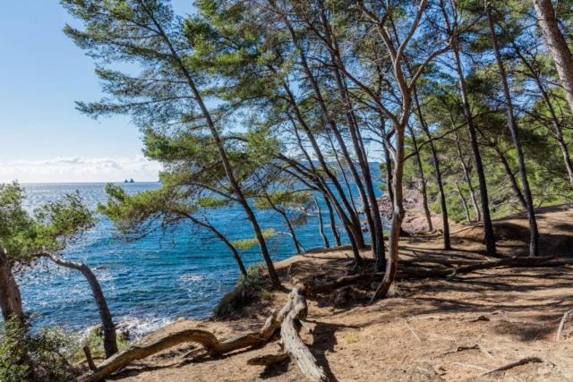 Studio Climatise Avec Jardin Et Plage A 250M Сен-Мандрие-сюр-Мер Экстерьер фото